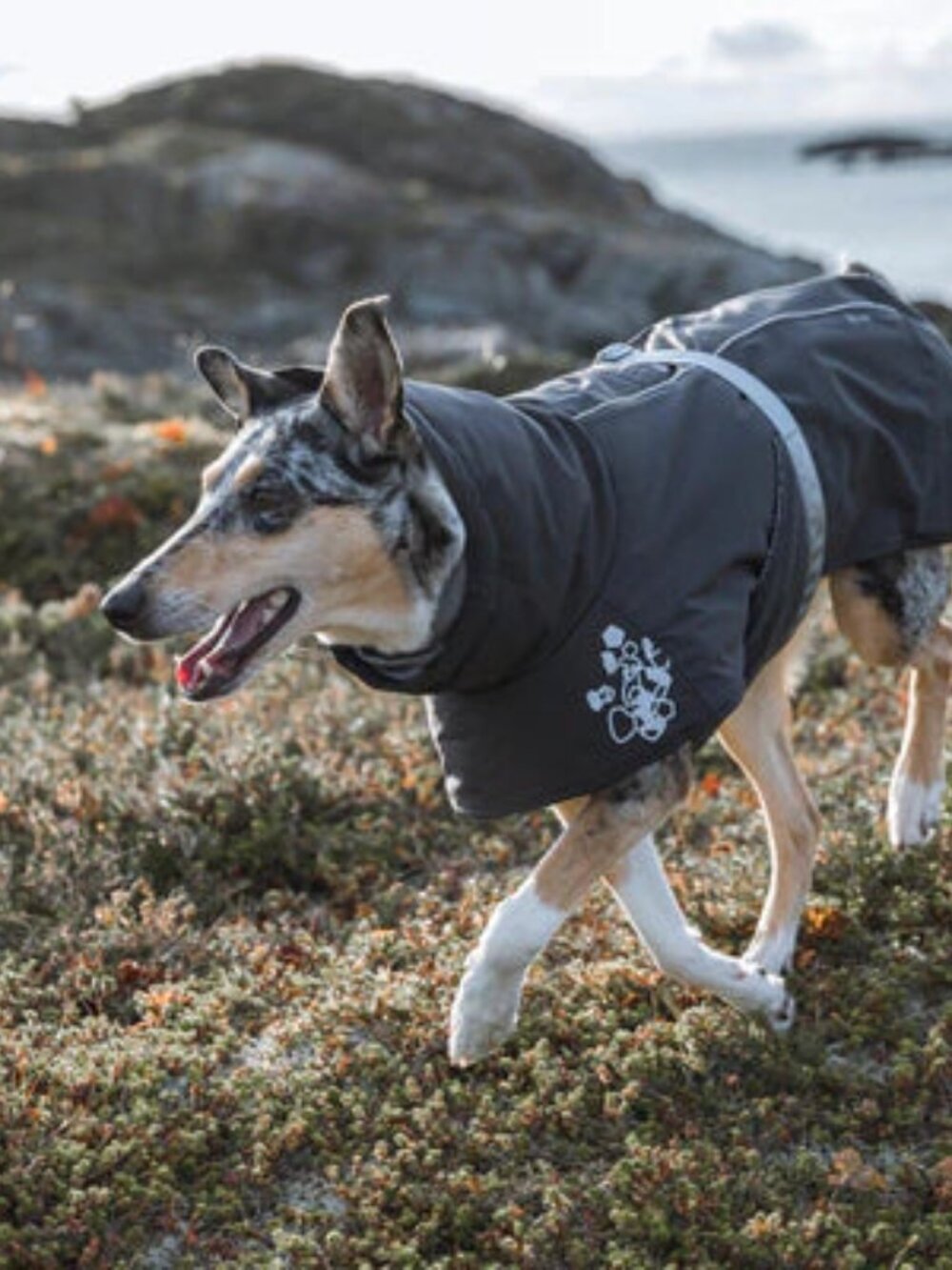 Hurtta extreme warmer 16"